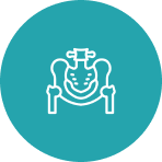 Pelvic bone icon on teal circle background.
