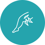 Teal circle with stylized dolphin logo.