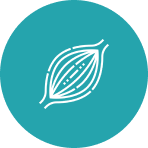 White muscle icon on teal circle background.